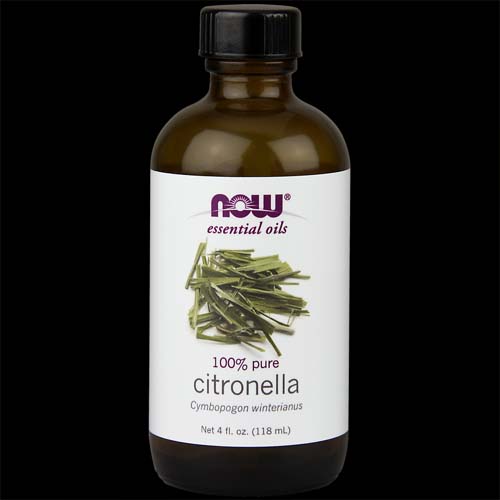 Citronella Oil